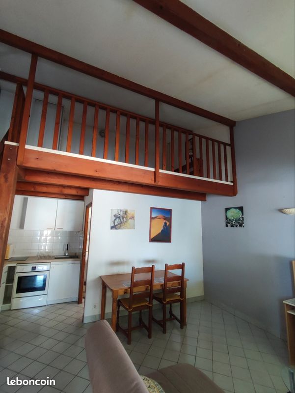 Appartement 1 pièce 29 m² · à Aubenas · 29 m² · 450 €