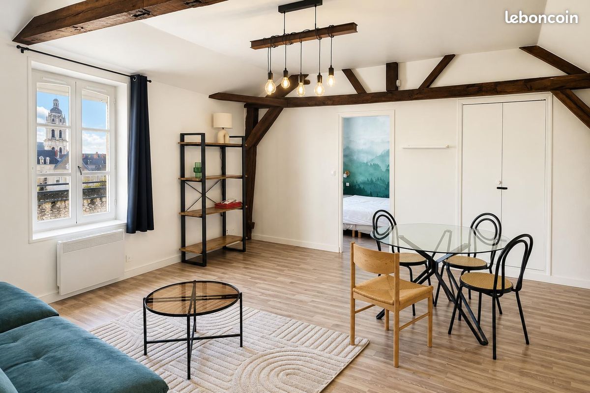 Appartement 2 pièces 52 m² · à Blois · 52 m² · 690 €/mois