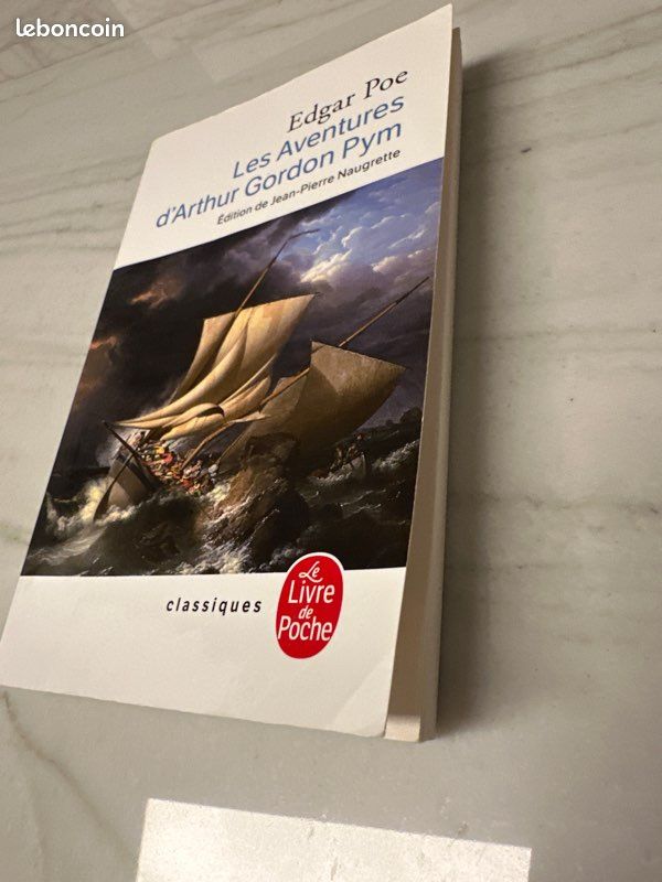 Les Aventures d’Arthur Gordon Pym d’Edgard Poe (image 3)