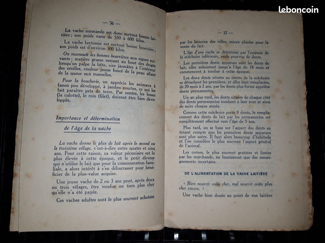 Mes petits elevages lucratifs - poterlet (image 6)