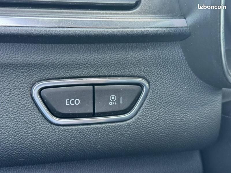 Renault Kadjar 1.5 Blue dCi 115ch Intens - 21 (image 13)