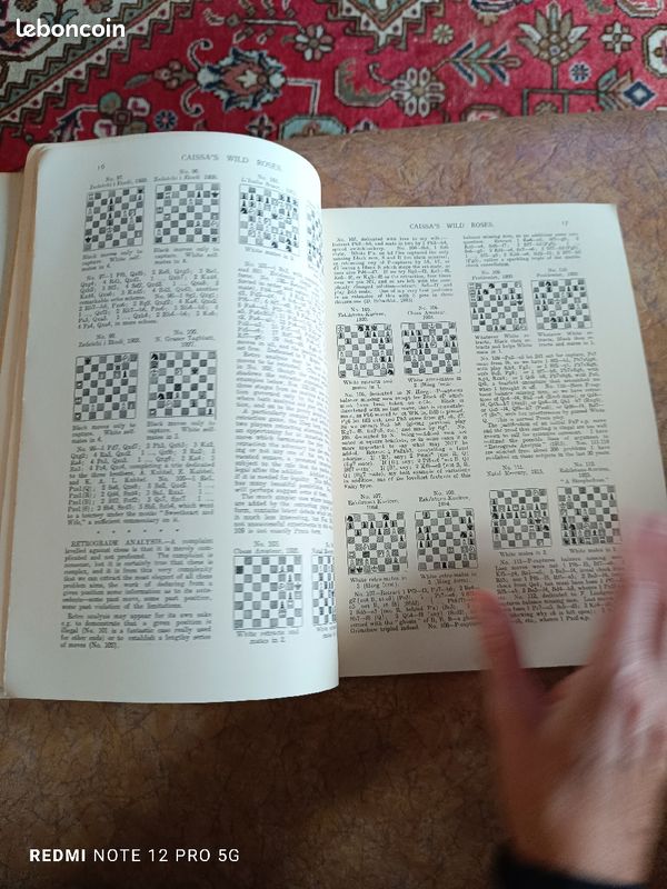 Five classics of fairy chess (image 13)
