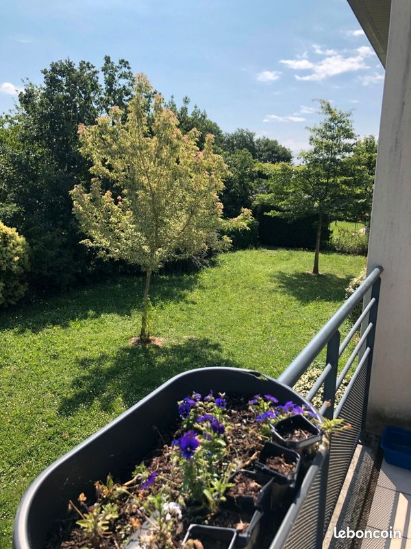 Appartement 1 pièce 26 m² · à Aucamville · 26 m² · 80 000 €