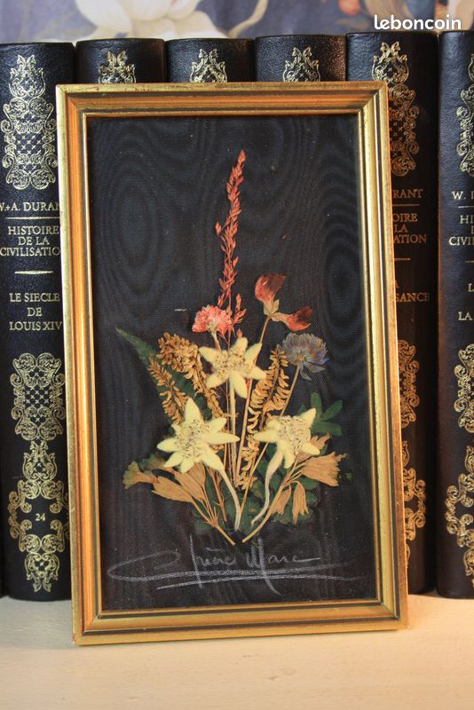 Cadre Photo Chevalet Vintage Avec Fleurs Séchées Sous Verre - Déco Rétro