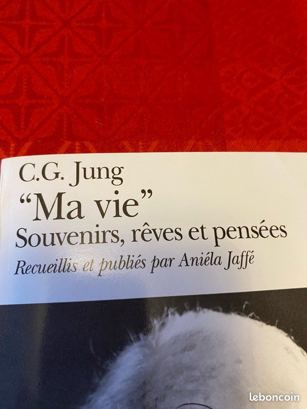 Livre sur la psychologie de Jung (image 3)