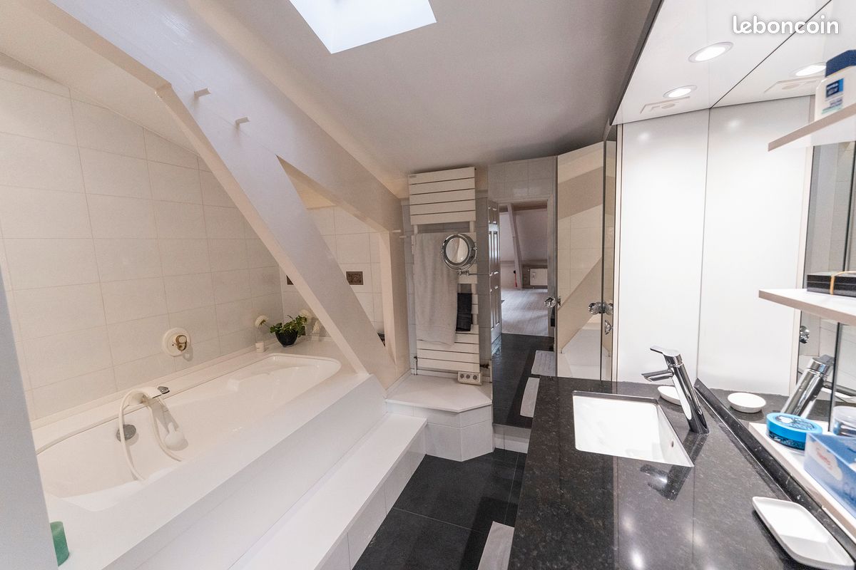 MAISON DE CARACTÈRE 200 m² + LOGEMENT INDÉPENDANT 55 m² + PISCINE COUVERTE- Creysse, proche BERGERAC (image 10)