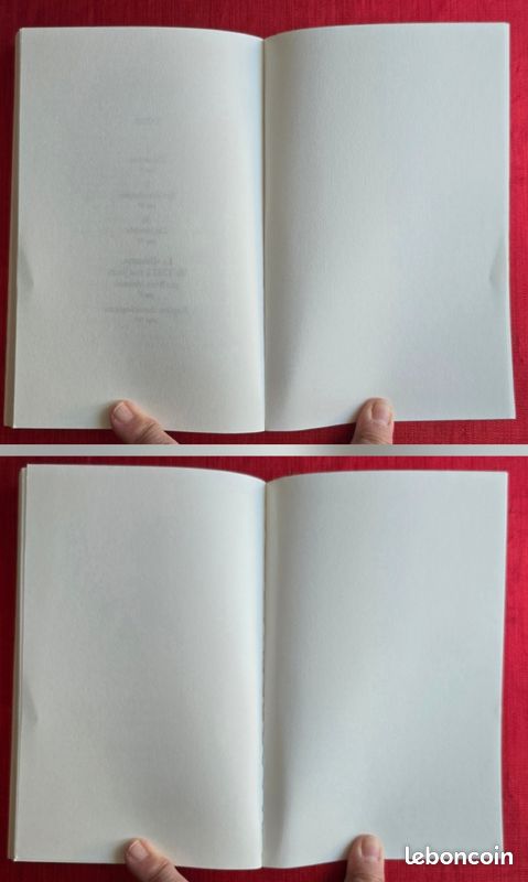 Les révoltés de la Bounty, de Jules Verne. Neuf (image 17)