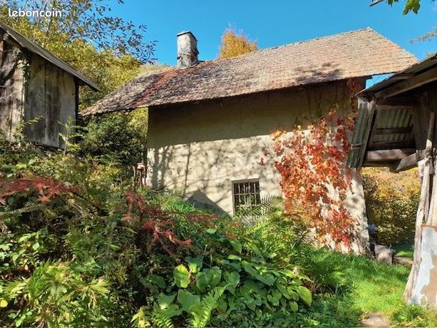 Vente | Terrain | 7177 m² | Queige