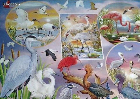 « Puzzle « Waterbird Magic » 1000 Pièces (image 3)