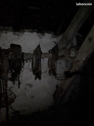 Vend joue et collier pour ane et poney (image 4)