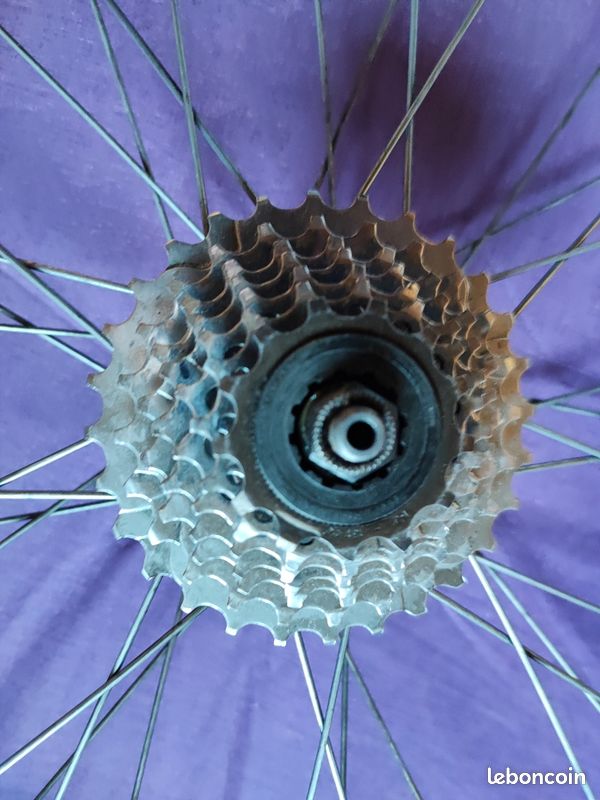 Roue Arrière Vélo 700C Ancienne - Cache-pignon Alu - Collection Eroica