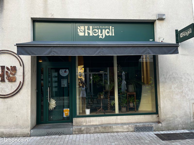Store banne électrique (image 1)
