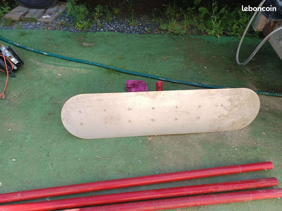 Grande spatule (image 1)