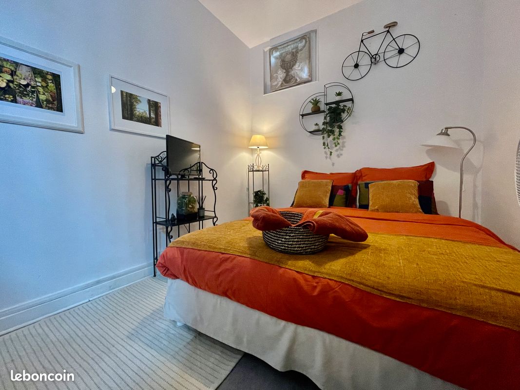 Studio tout confort hyper centre (image 2)