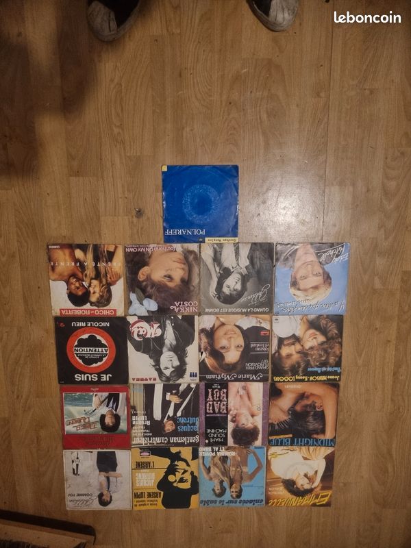 Vinyle 33 tours (image 1)