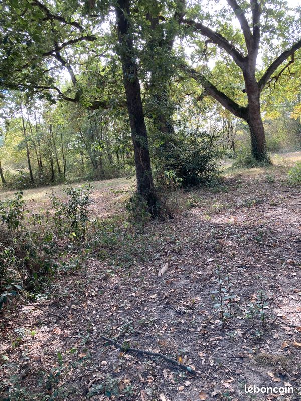 Terrain 7953m2 · à Bois-de-la-Pierre · 65 000 €
