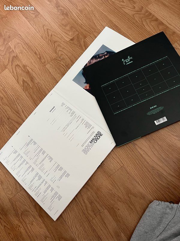 Vinyles Lomepal (image 2)