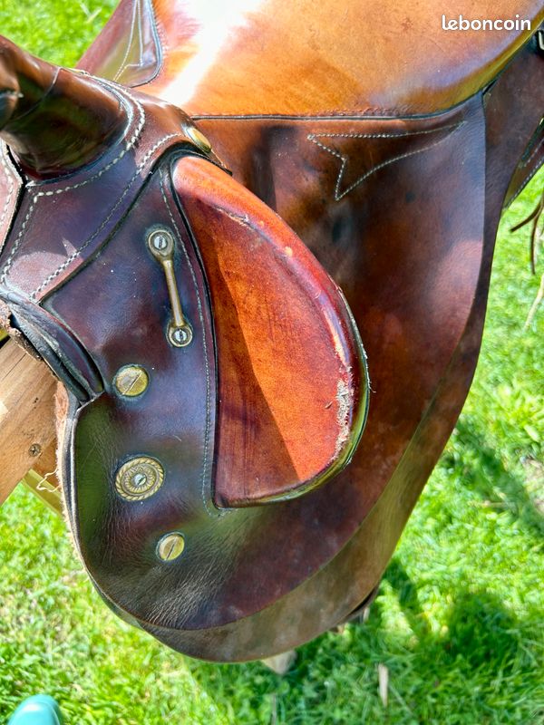 Selle australienne (image 5)