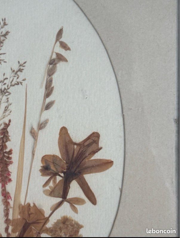 Nain de jardin amoureux & Meilleur Nain de Jardin