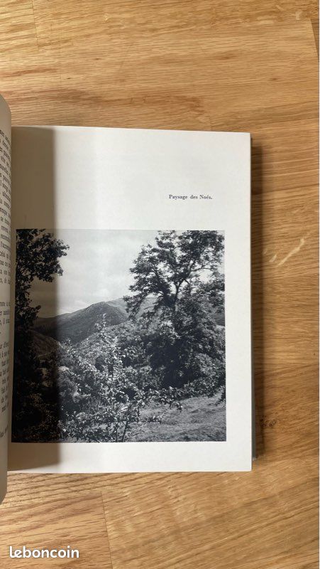 Lot de 2 livres sur le Curé d’Ars – Francis Trochu - Michel de Saint Pierre (image 7)