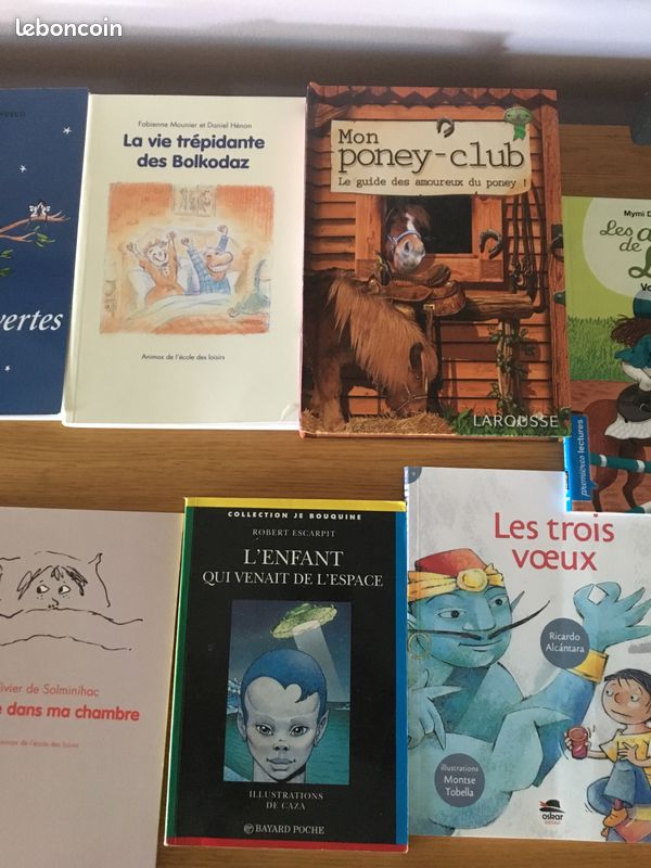 Romans Livres niveau CM1 (image 3)