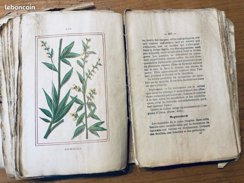 Livre ancien de médecine familiale (image 6)