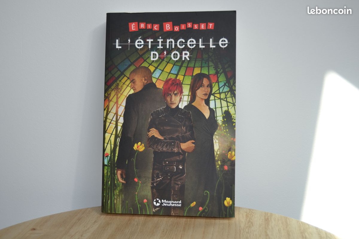 Livre L'étincelle d'or (image 1)