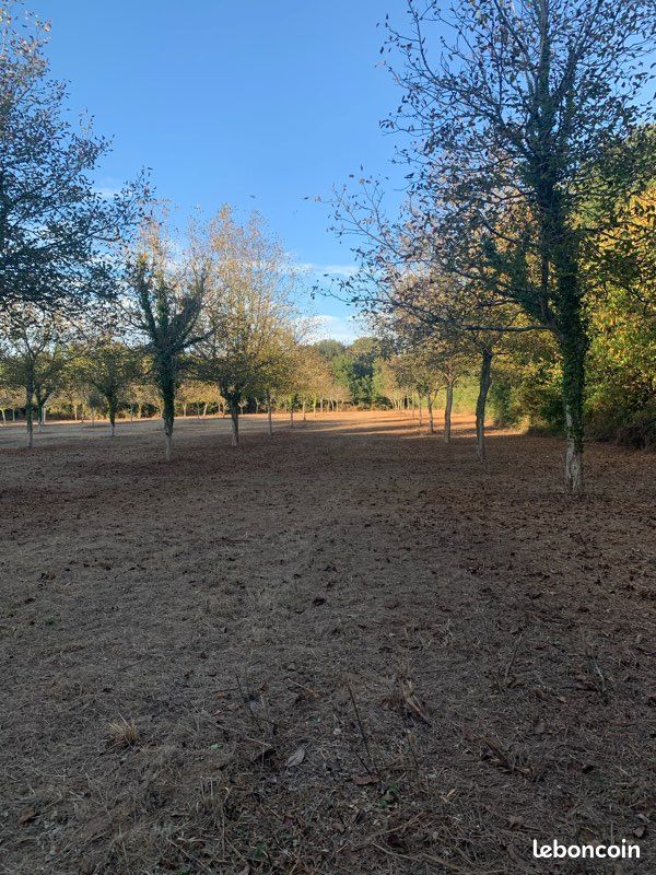 Terrain agricole · à Pont-l'Abbé-d'Arnoult · 60 000 €
