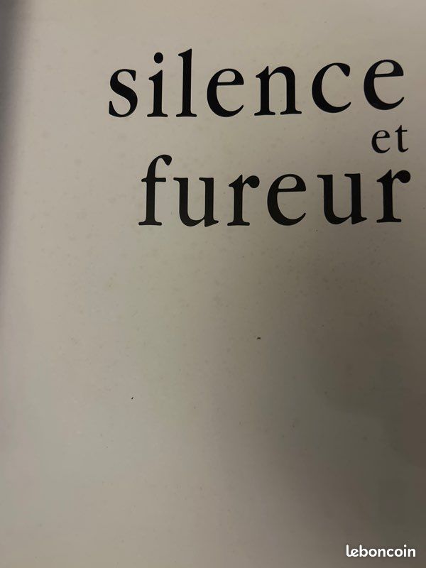 Silence et Fureur - Musée Calvet (image 3)