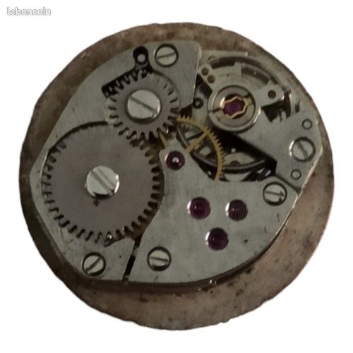 Montre Mécanique Vintage Elvia - Petit Cadran Pour Femme - À Restaurer Ou Pour Collection