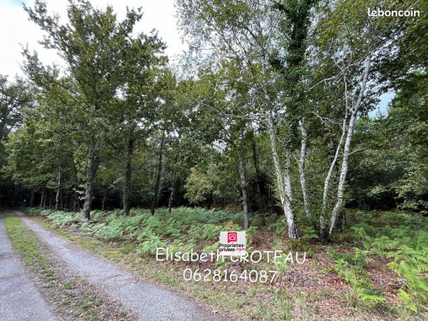 Terrain 2 949 m² Sanguinet