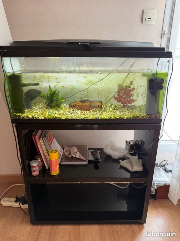 Don aquarium complet 80L avec meuble et poisson (10 ans) – À saisir à Basse-Indre (44) (image 2)