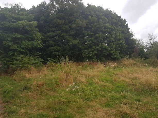 Terrain agricole à Saint-Prix (95) – 9000 m²