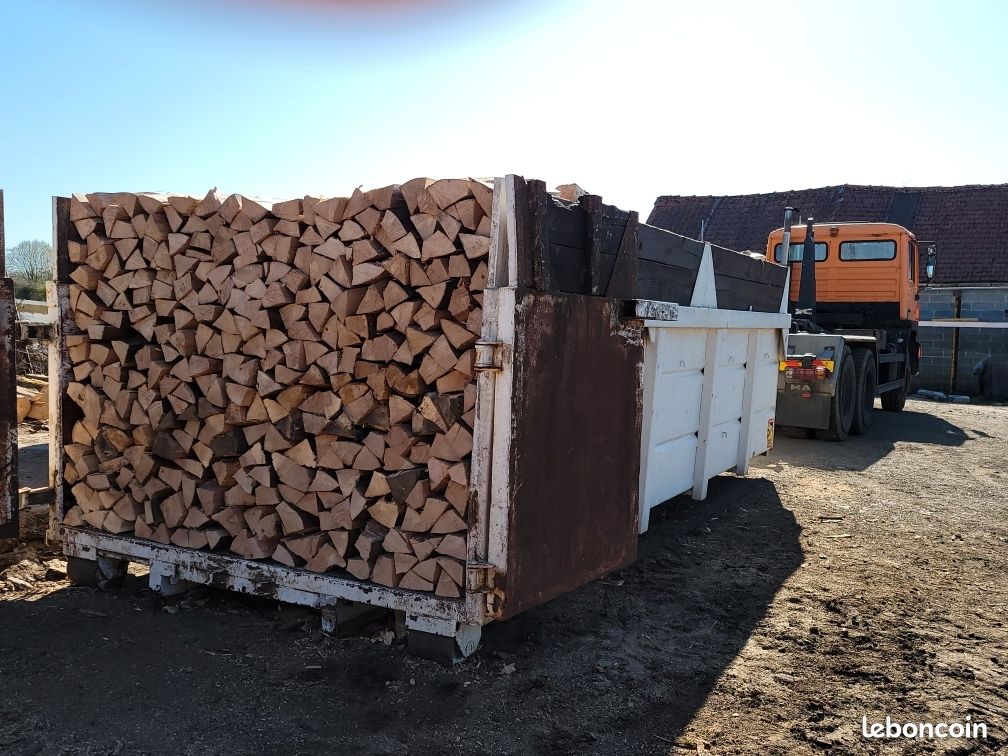 Bois de chauffage en 50cm (image 2)