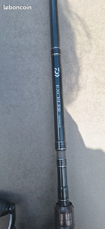 Canne daiwa exceller et abu garcia max 41 (image 1)