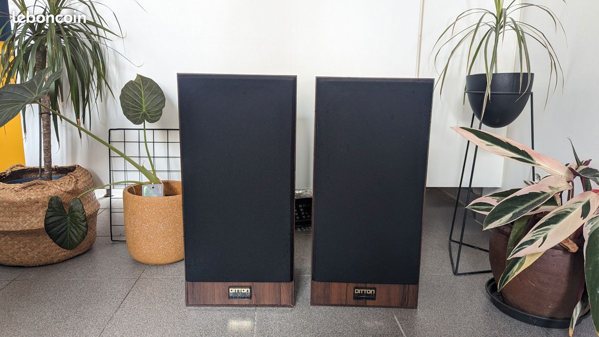 Enceintes vintage DITTON DUO CELESTION (image 2)