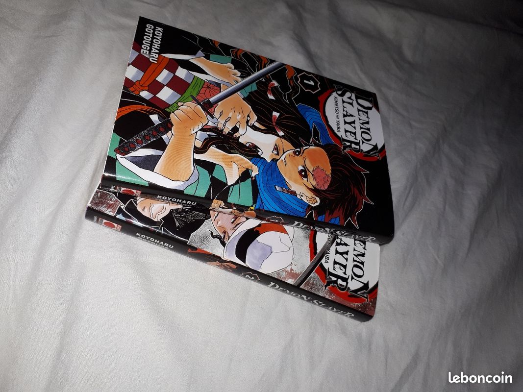 Tome 1 et tome 2 de demon slayer (image 1)