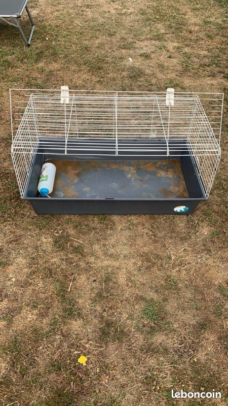 Cage pour lapin (image 1)