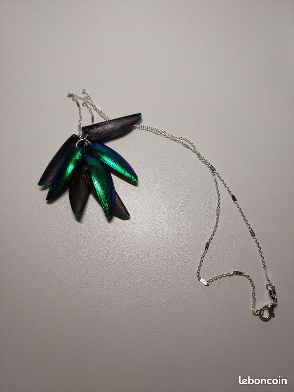 Pendentif élytres Sternocera – Vrai scarabée – Collier argent 925 – Bijou curiosités – Insecte naturel – Chaînes au choix (image 12)