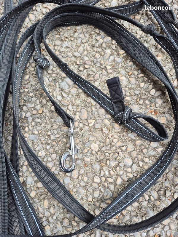 Longe 13m pour chien (image 2)