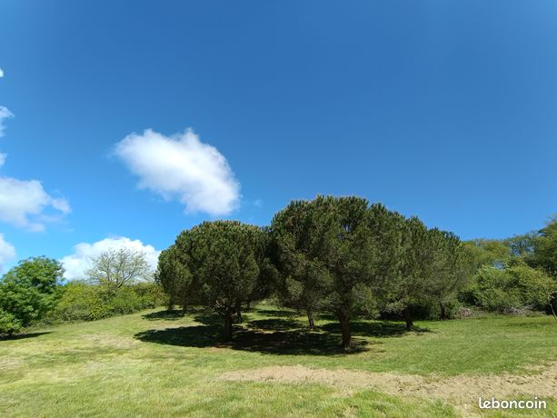 Terrain 1300m2