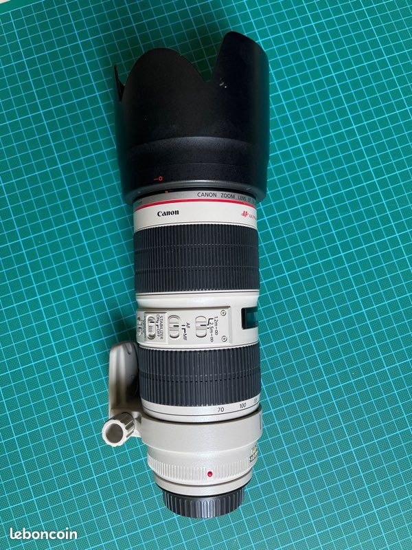 Canon EF 70-200mm 1:2.8 L IS II USM (image 4)