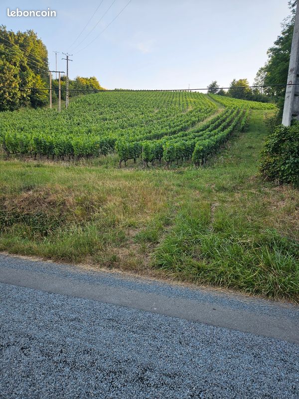 Vigne Juliénas · 30 000 €