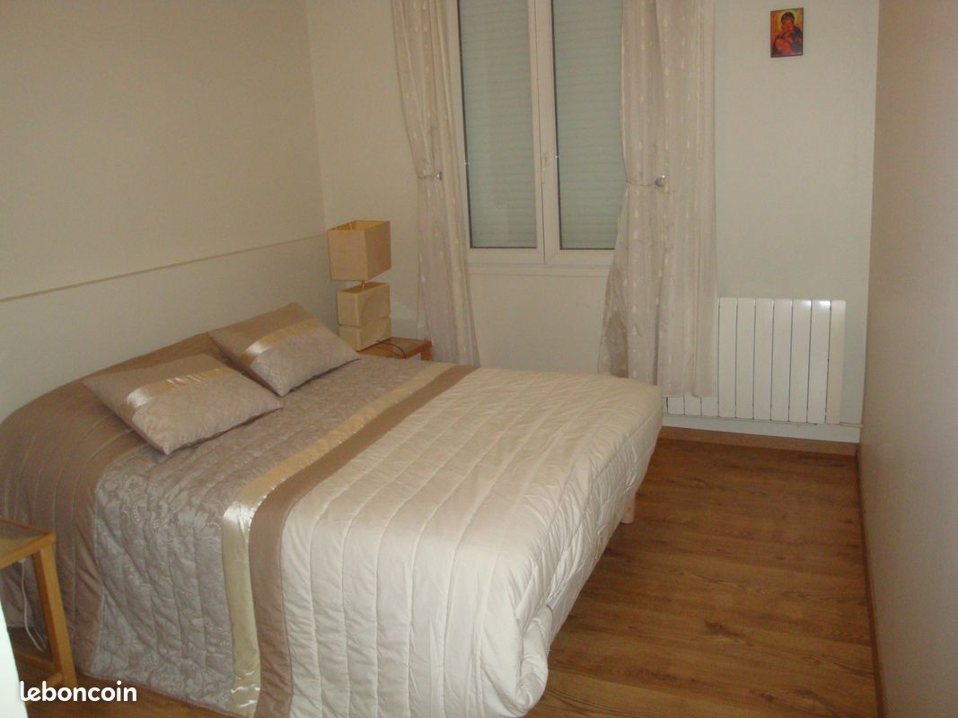 Appartement meublé centre ville Limoges - Limoges 87000 (image principale 2)