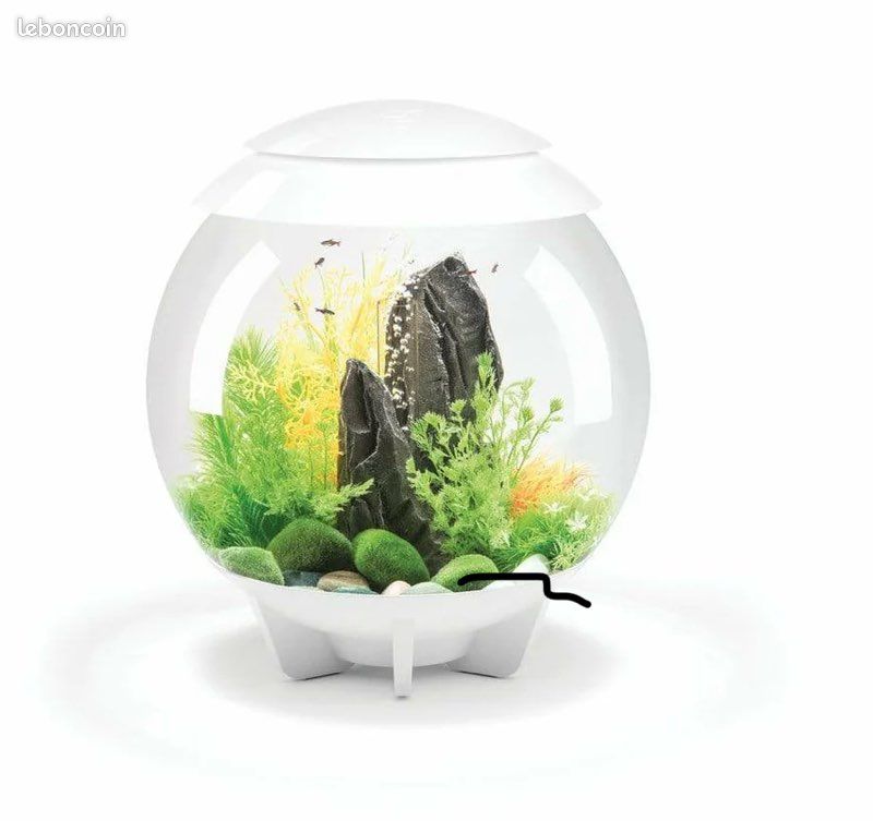 Aquarium design BiOrb Halo 30L – Comme neuf  🌊🐠 (image 1)