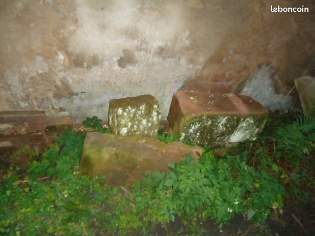 Dalles grès des vosges (image 6)
