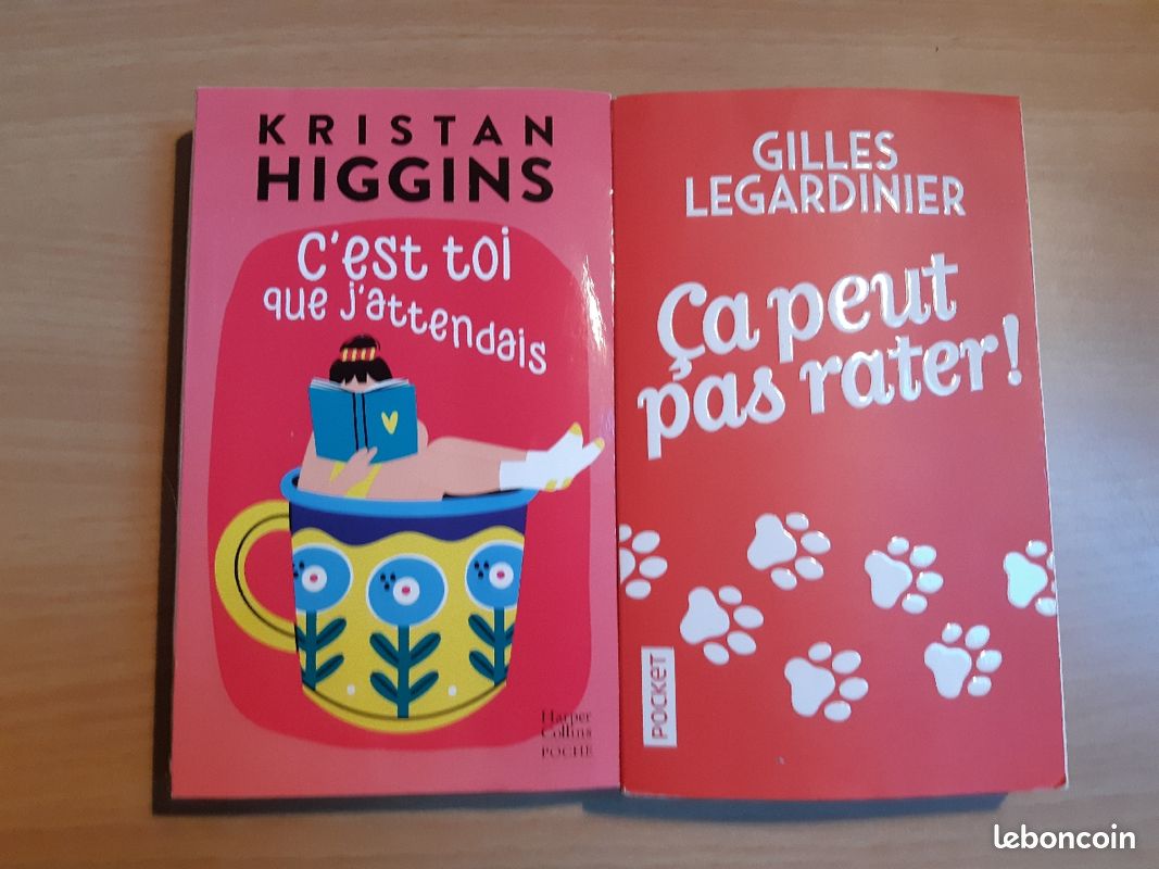 Livre de Gilles Legardinier ou de Kristan Higgins (image 1)