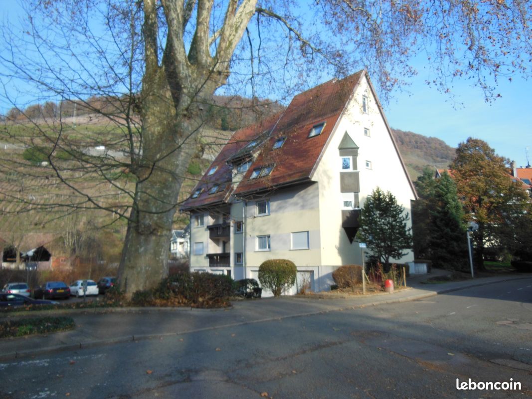 Appartement 1 pièce 31 m² · à Thann · 31 m² · 420 €/mois