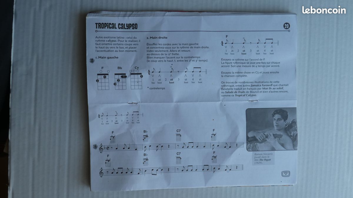 Ukulélé de marque ISSAKU + la méthode par Cyril Lefebvre (image 14)