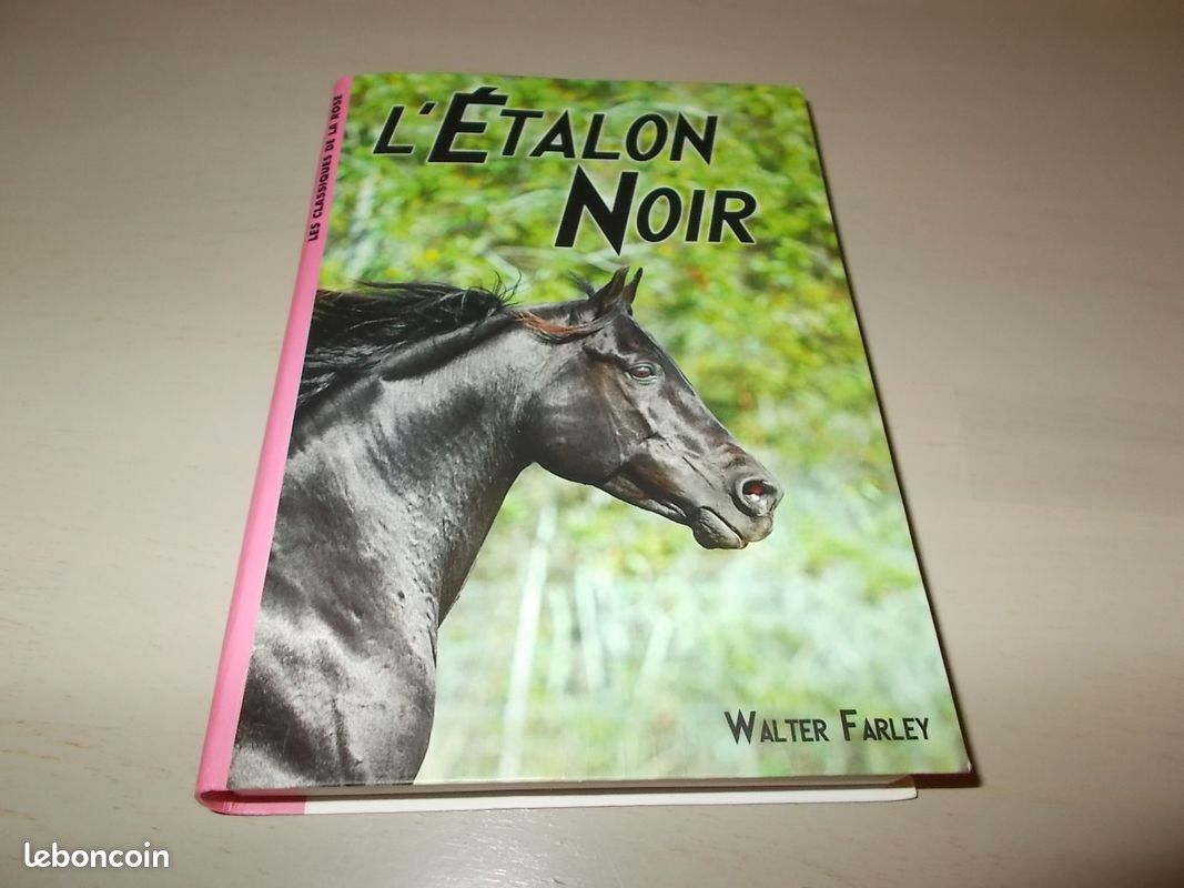 L'étalon noir (image 1)